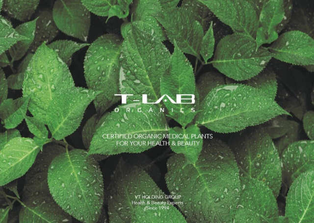 T-Lab